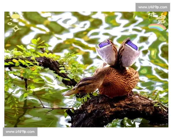 壹摄影比赛：捕捉瞬间之美，展现独特视角与创意才华