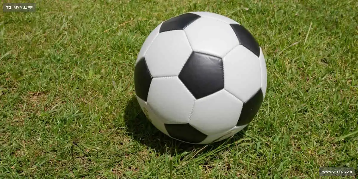 我们的核心竞争力